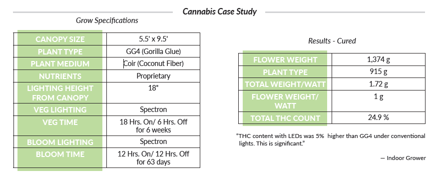 Cannabis Case Study - GG4